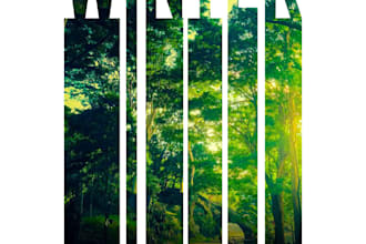 design premium posters or graphics for your buisness,events,etc