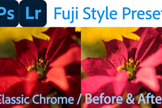 offer fuji film style preset in lightroom and photoshop