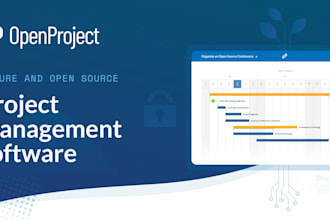 set up a professional openproject management system