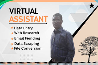 do data entry, data collection,email list, web research