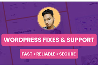 do wordpress maintenance, support and fixes