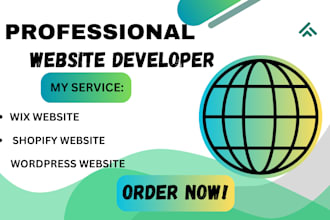 build website development on wix, wordpress, shopify, go highlevel, odoo, crypto