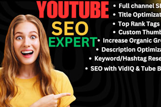 do my best on youtube channel SEO for improving video rank