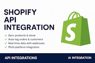 do API integration in your shopify web application