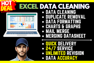 clean, organize, and format your excel data professionally