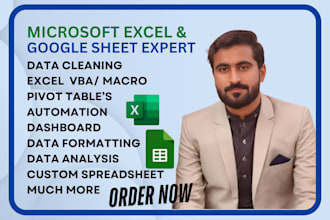 be your excel and google sheets expert and data analyst