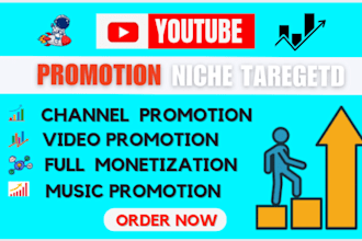 do professional organic youtube video and channel promotion