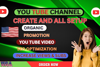 do  professional organic youtube videos and increase views