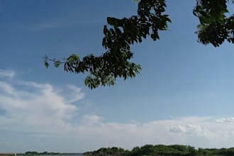 take pictures of the sky