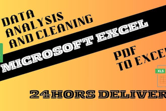 do professional excel data cleaning and analysis