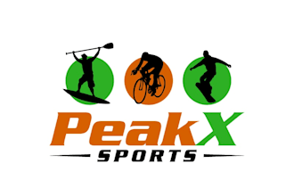 do a professional sports logo design and brand identity