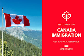 provide consultation on canada immigration