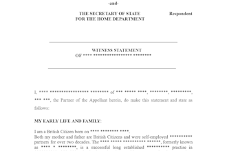 review witness statements for visa court cases