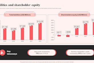 create a professional investment, business and equity pitch
