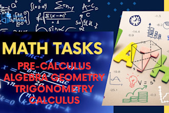 professionally do algebra, calculus and precalculus tasks