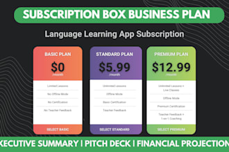 create 2025 investor ready pitch deck subscription box business plan for startup