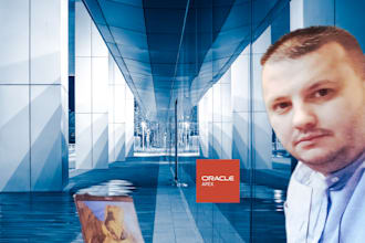 design and develop professional oracle apex applications