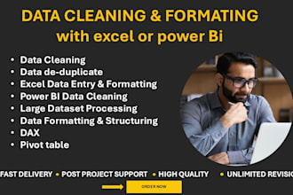 do data cleaning and data entry in excel or power bi