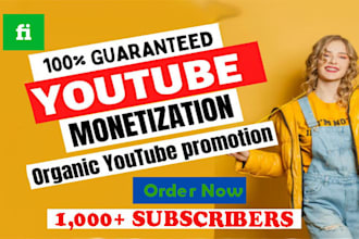 provide 1000 fast followers, views, watch time for youtube monetization
