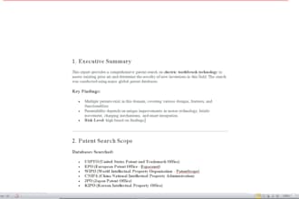 do professional patent search and in depth prior art search