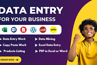 do excel data entry, copy paste, PDF to excel and web research