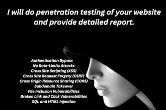 perform penetration testing  and provide detailed report