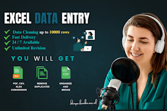clean, format, and organize excel data up to 10,000 rows 24hour delivery