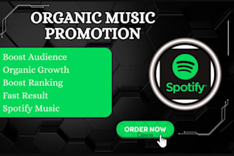 do spotify album music promotion, spotify music track promotion, music streamers