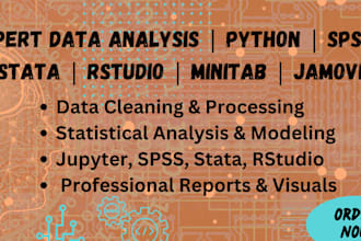 do data analysis using jupyter, stata, spss, rstudio, minitab, python, jamovi