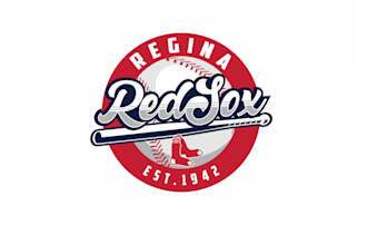 design college summer baseball team logo