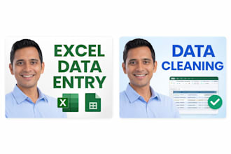 professional excel data cleaning and formatting