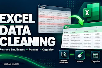 clean excel data, remove duplicates, and format spreadsheets