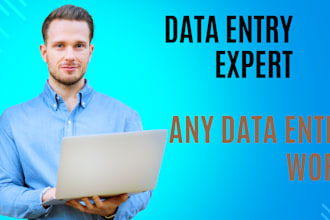 do excel, google sheets data entry, web research, ecommerce data entry