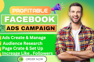 be your profitable facebook ads campaign manager with targeted audience