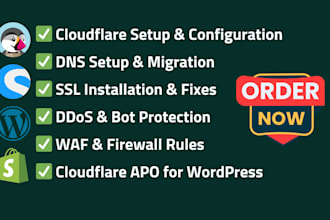 set up cloudflare dns, CDN, SSL, optimize performance and fix issues