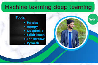 custom machine learning ml predictive models dl jupyter notebook in python