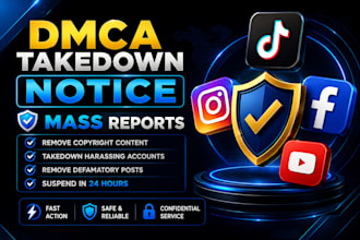 provide instagram banning, mass report bot, takedown, harassment removal service