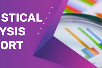 do statistical data analysis, research, summary, reports in spss, stata, excel