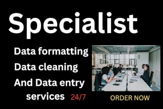 data entry format edit and fix your microsoft word document