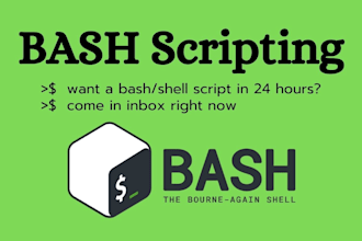 write and debug a bash shell script in 24 hours