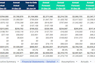create budgets, cash flow forecasts and financial analysis