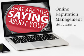 professional online reputation management, orm , reverse SEO services for you