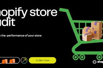 setup and do shopify store audit for your store and provide results