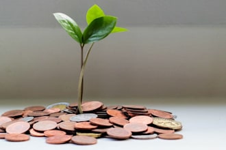 develop easy installation bitcoin bot that works