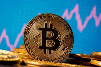 develop a cryptocurrency for you