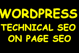 do wordpress on page seo and fix technical issues