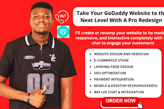 design godaddy redesign godaddy website for speed and godaddy SEO optimization