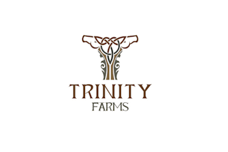 design celtic themed elite equestrian center logo