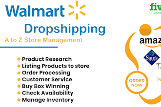 your walmart dropshipping and wfs virtual assistant
