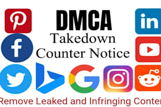 send professional dmca takedown notices to remove leaked and infringing content